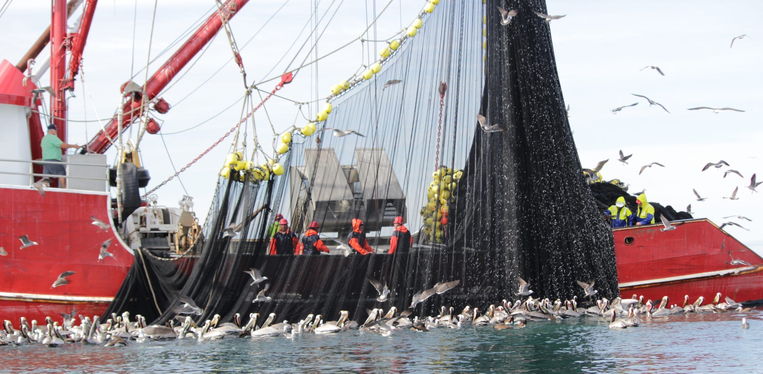 a-fisherman-trawler-catching-shrimp-and-sardines-2021-09-01-19-39-37-utc