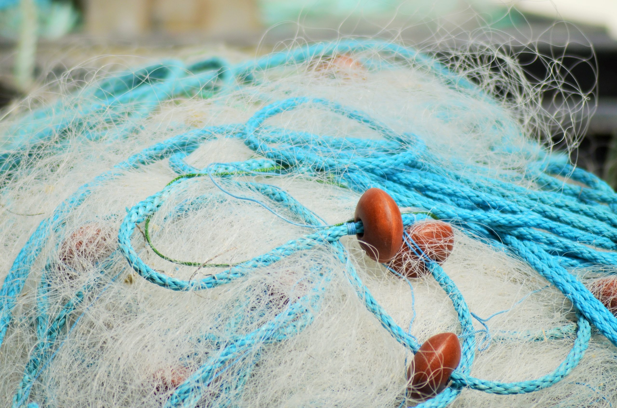 fishing nets3