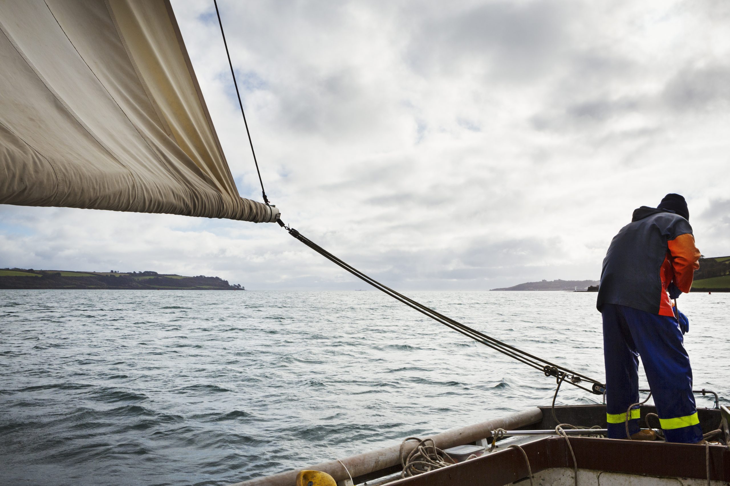 Traditional Sustainable Oyster Fishing, a fisherman on a sailing boat in the Fal Estuary. ,River Fal,England