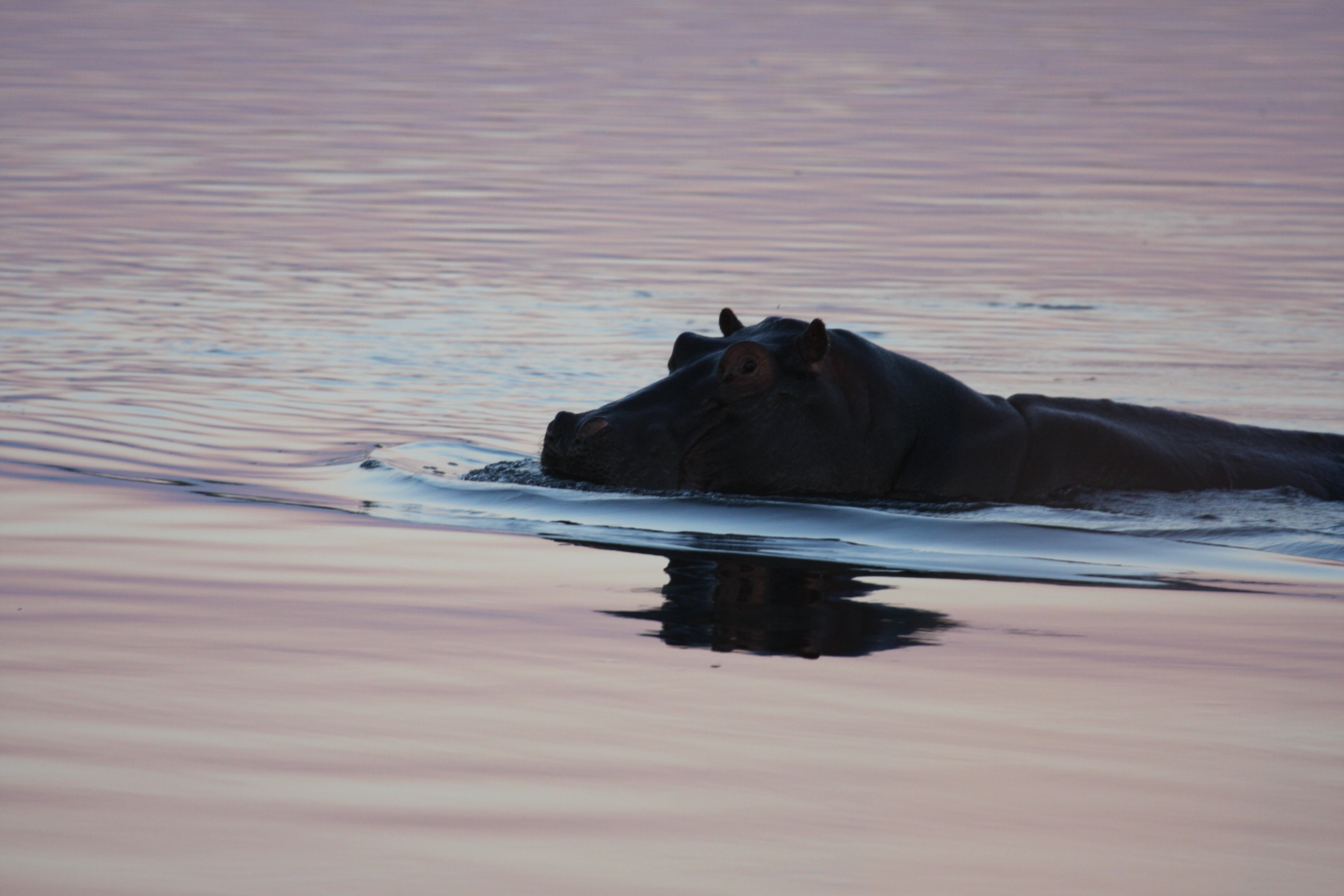 Namibia8