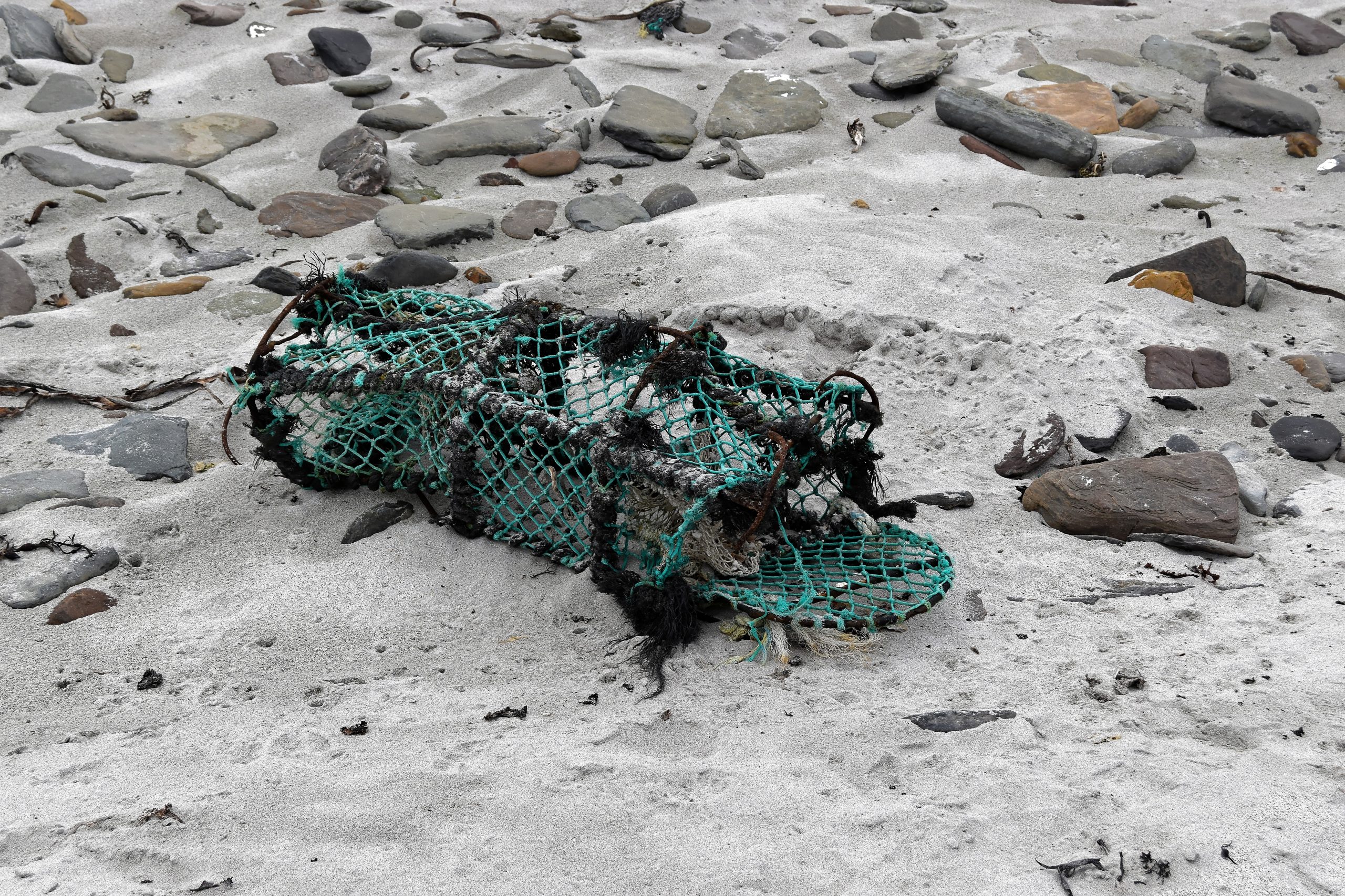 beach net